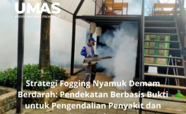 ~blog/2023/5/24/jasa pengendalian nyamuk denpasar