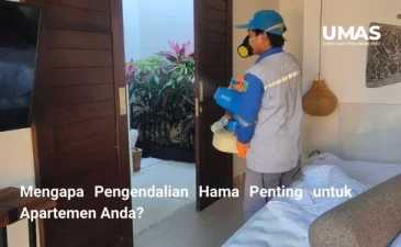 ~blog/2023/8/28/mengapa pengendalian hama penting untuk apartemen anda